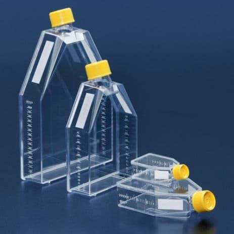 Picture of Tissue culture flask 150 cm² / filter screw cap (36)